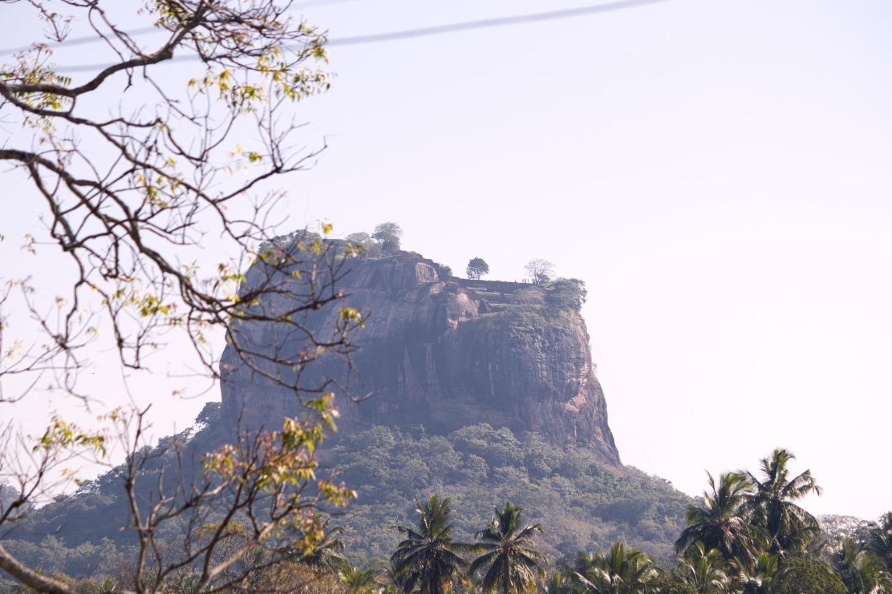 Royal Rock Sigiriya Hotel Exterior foto