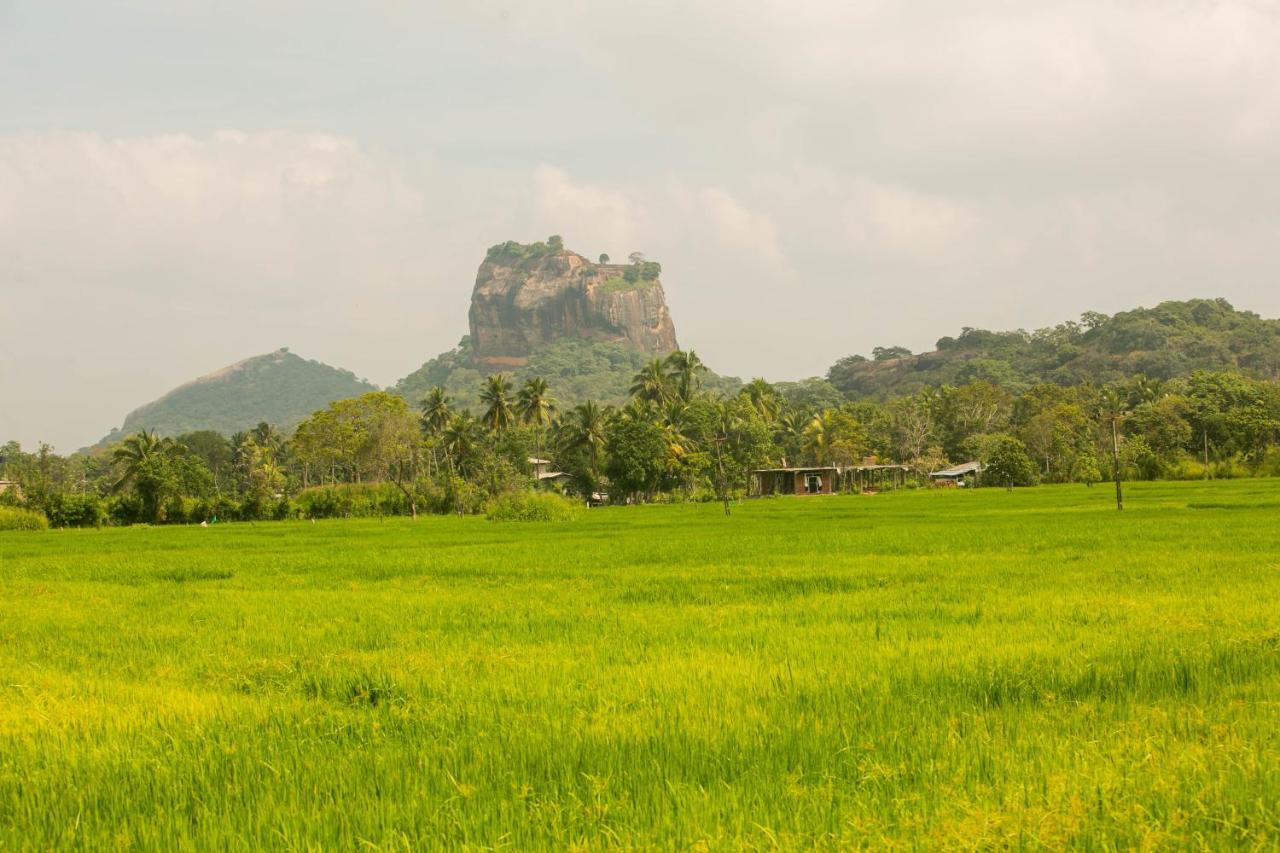 Royal Rock Sigiriya Hotel Exterior foto